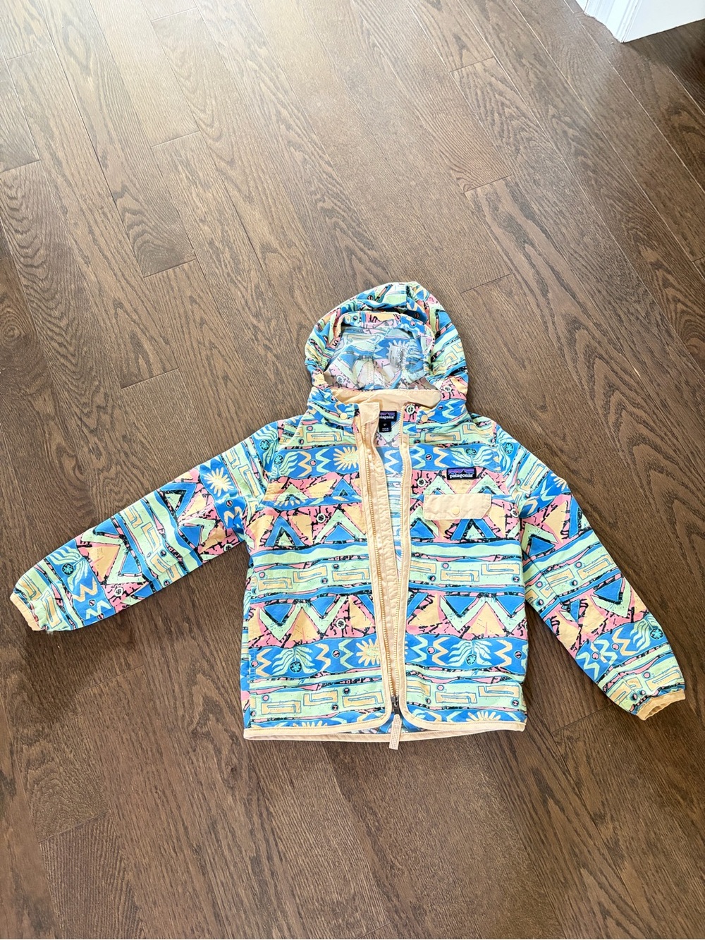 Patagonia Kids Multicolor Printed Hooded Jacket